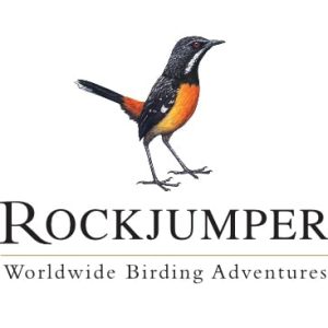 Profile photo of Rockjumper